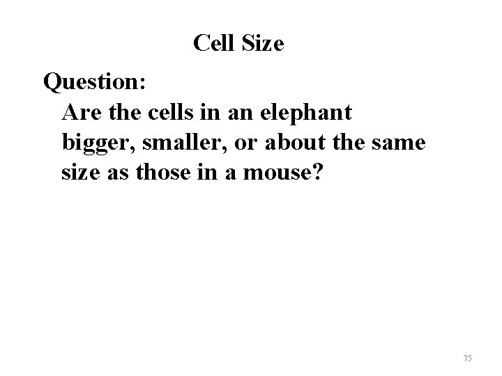 Cell Size Question: Are the cells in an elephant bigger, smaller, or about the