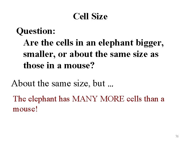 Cell Size Question: Are the cells in an elephant bigger, smaller, or about the