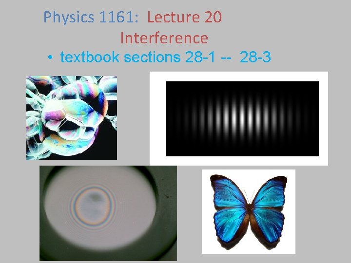 Physics 1161: Lecture 20 Interference • textbook sections 28 -1 -- 28 -3 