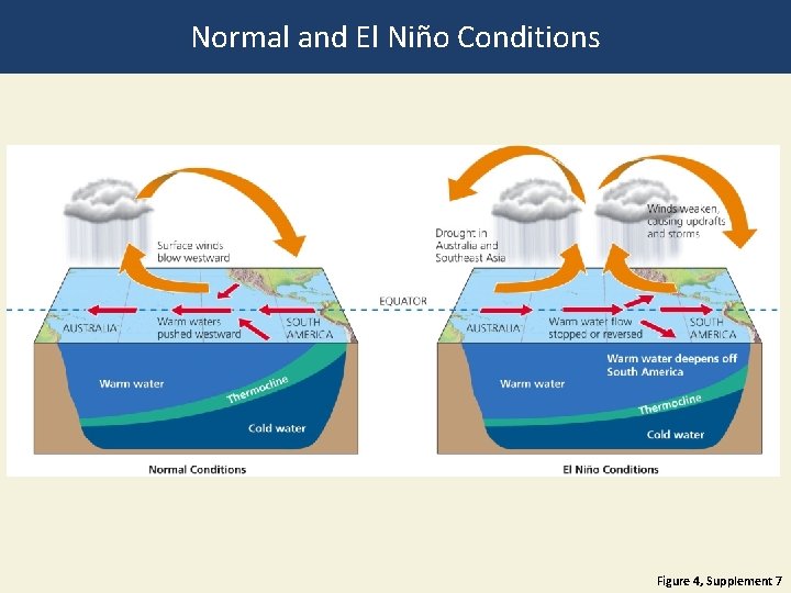 Normal and El Niño Conditions Figure 4, Supplement 7 