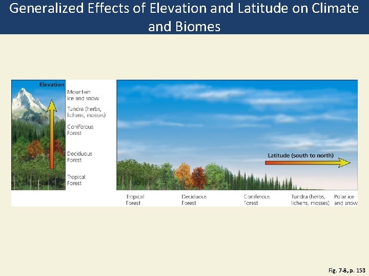 Generalized Effects of Elevation and Latitude on Climate and Biomes Fig. 7 -8, p.