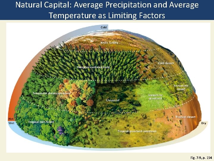 Natural Capital: Average Precipitation and Average Temperature as Limiting Factors Fig. 7 -9, p.