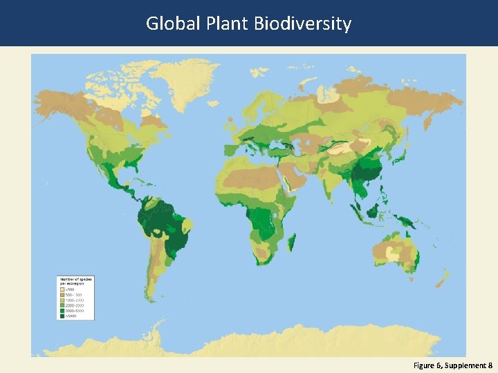 Global Plant Biodiversity Figure 6, Supplement 8 