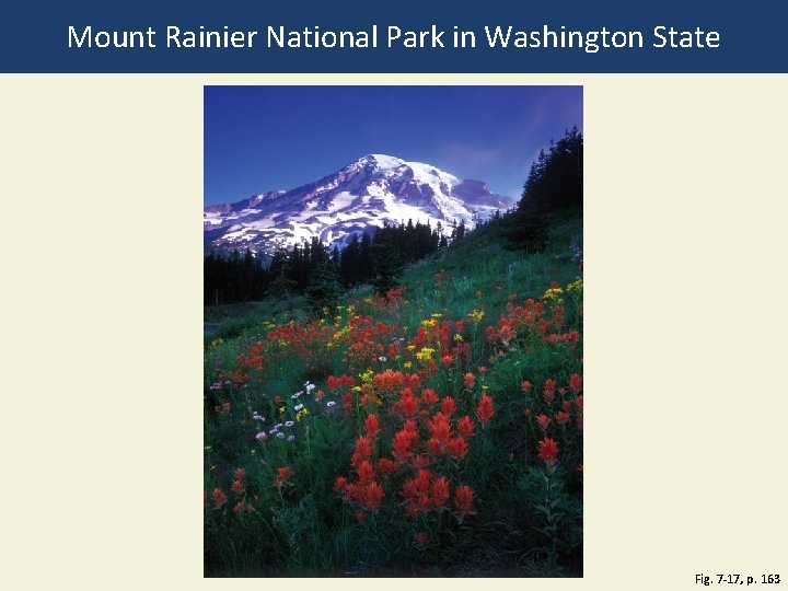 Mount Rainier National Park in Washington State Fig. 7 -17, p. 163 