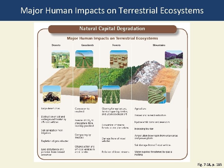 Major Human Impacts on Terrestrial Ecosystems Fig. 7 -18, p. 165 