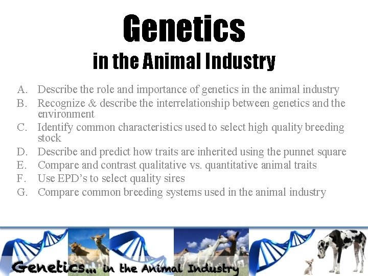 Genetics in the Animal Industry A. Describe the role and importance of genetics in