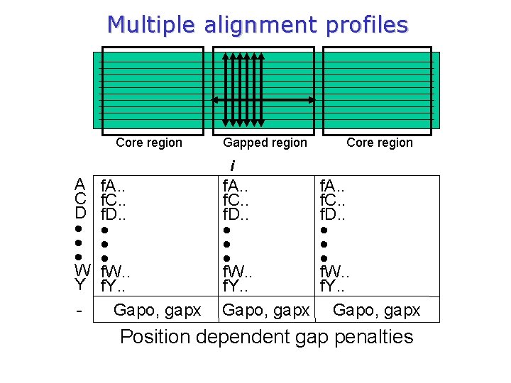 Multiple alignment profiles Core region Gapped region Core region i A C D W