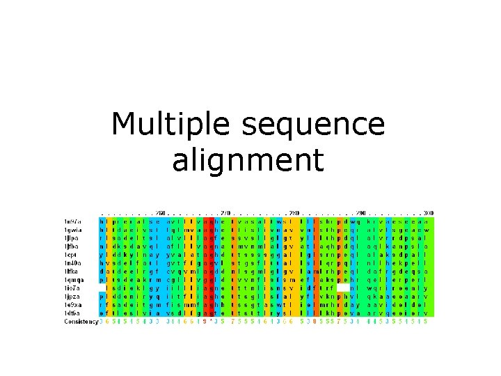 Multiple sequence alignment 