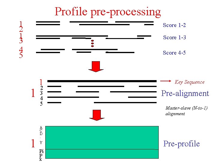 Profile pre-processing 1 2 13 Score 1 -2 Score 1 -3 4 5 Score