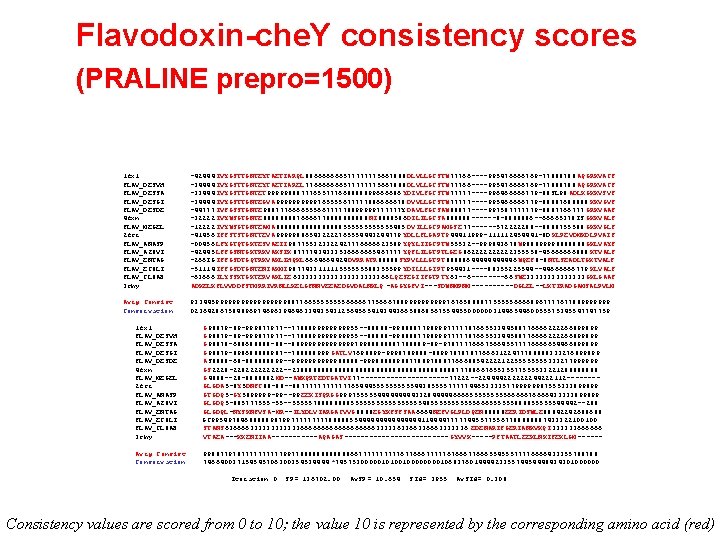 Flavodoxin-che. Y consistency scores (PRALINE prepro=1500) 1 fx 1 FLAV_DESVH FLAV_DESSA FLAV_DESGI FLAV_DESDE 4