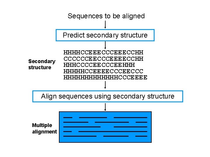 Sequences to be aligned Predict secondary structure Secondary structure HHHHCCEEECCHH CCCCCCEEEECCHH HHHCCCCEEHHH HHHHHCCEEEECCC HHHHHHHCCCEEEE