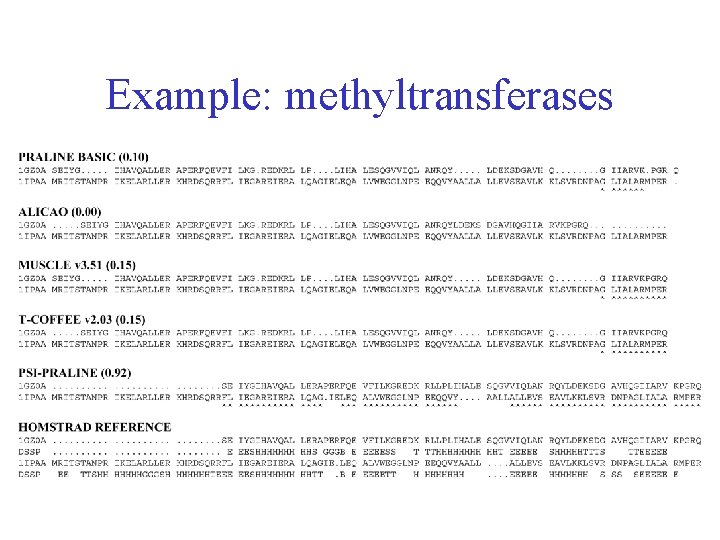 Example: methyltransferases 