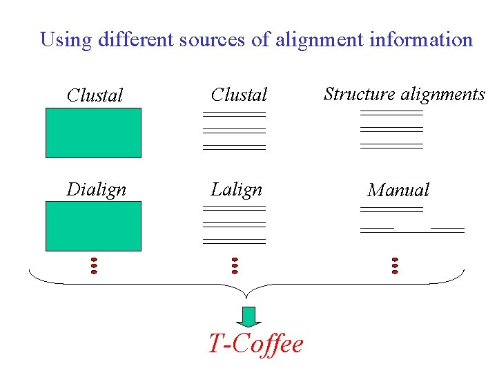 Using different sources of alignment information Clustal Structure alignments Dialign Lalign Manual T-Coffee 