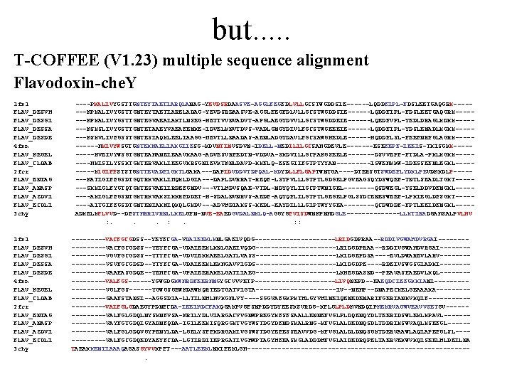 but. . . T-COFFEE (V 1. 23) multiple sequence alignment Flavodoxin-che. Y 1 fx