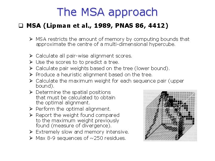 The MSA approach q MSA (Lipman et al. , 1989, PNAS 86, 4412) Ø