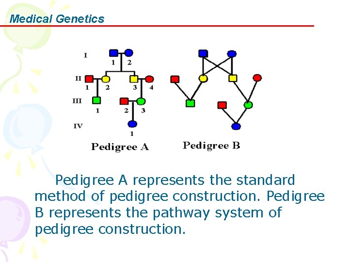 Medical Genetics Pedigree A represents the standard method of pedigree construction. Pedigree B represents