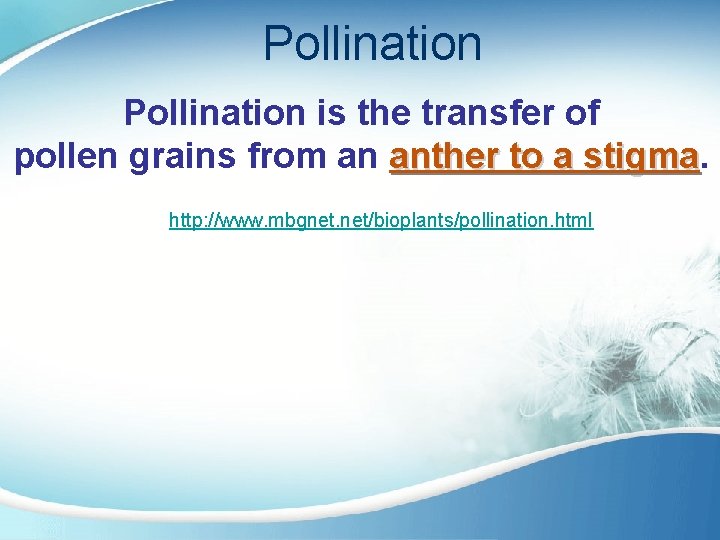 Pollination is the transfer of pollen grains from an anther to a stigma http: