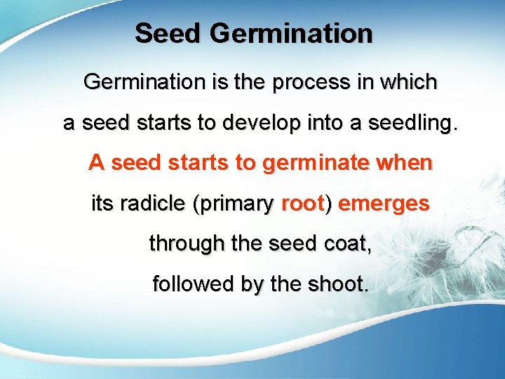 Seed Germination is the process in which a seed starts to develop into a