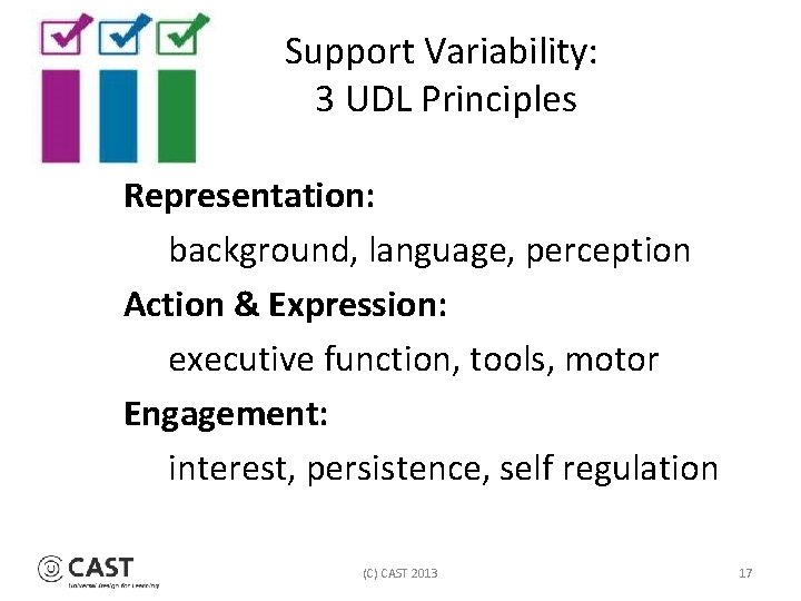 Support Variability: 3 UDL Principles Representation: background, language, perception Action & Expression: executive function,