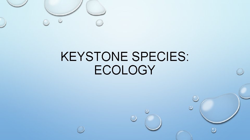 KEYSTONE SPECIES: ECOLOGY 