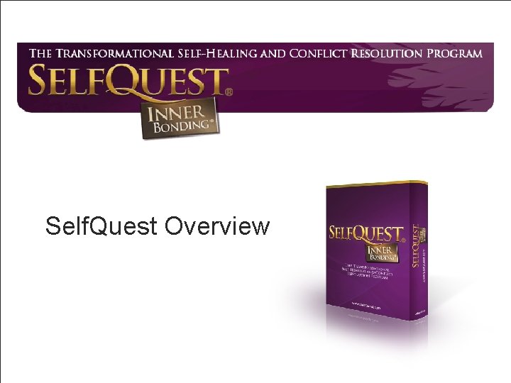 Self. Quest Overview 