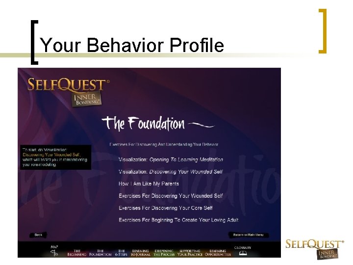 Your Behavior Profile 