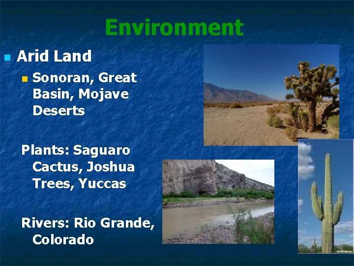 Environment n Arid Land n Sonoran, Great Basin, Mojave Deserts Plants: Saguaro Cactus, Joshua