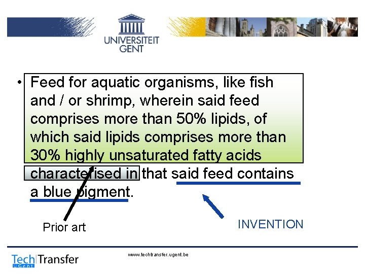  • Feed for aquatic organisms, like fish and / or shrimp, wherein said