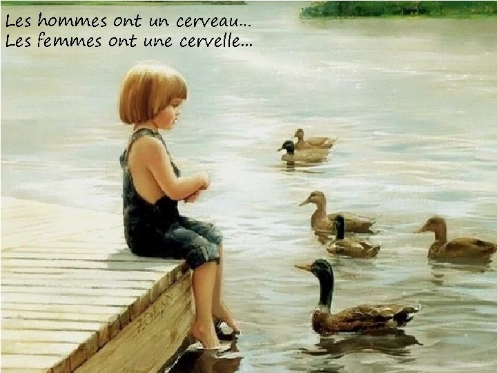 Les hommes ont un cerveau… Les femmes ont une cervelle. . . 