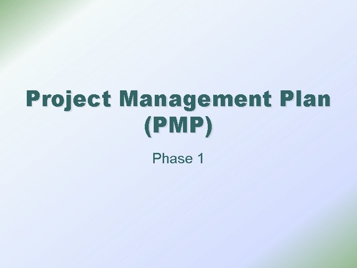 Project Management Plan (PMP) Phase 1 