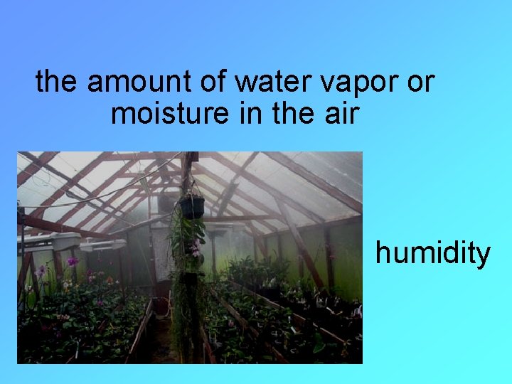 the amount of water vapor or moisture in the air humidity 