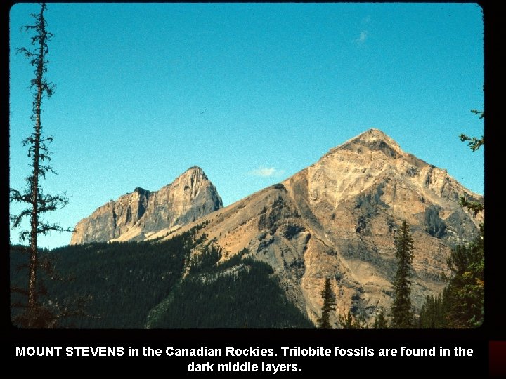 MOUNT STEVENS in the Canadian Rockies. Trilobite fossils are found in the dark middle