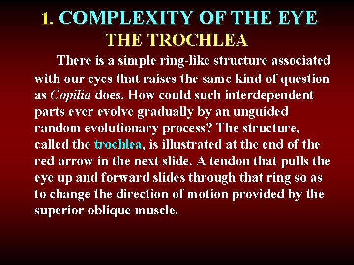 1. COMPLEXITY OF THE EYE THE TROCHLEA There is a simple ring-like structure associated