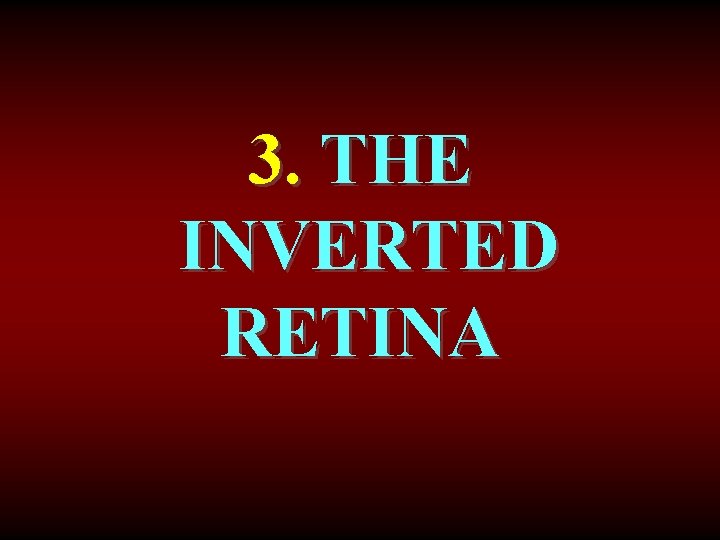 3. THE INVERTED RETINA 