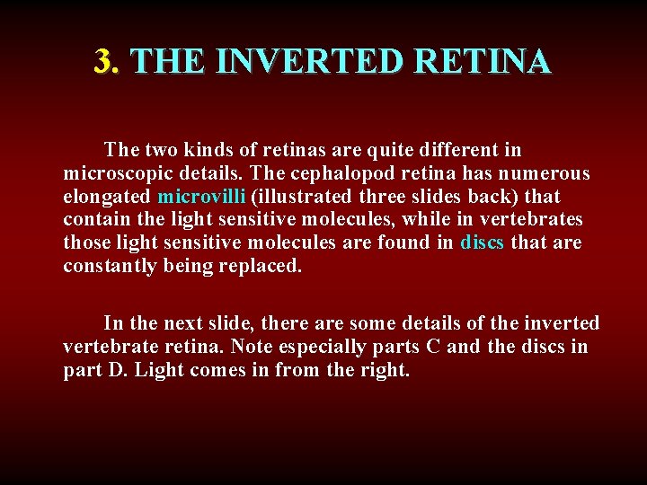 3. THE INVERTED RETINA The two kinds of retinas are quite different in microscopic