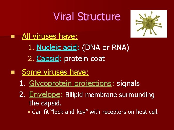 Viral Structure n n All viruses have: 1. Nucleic acid: (DNA or RNA) 2.