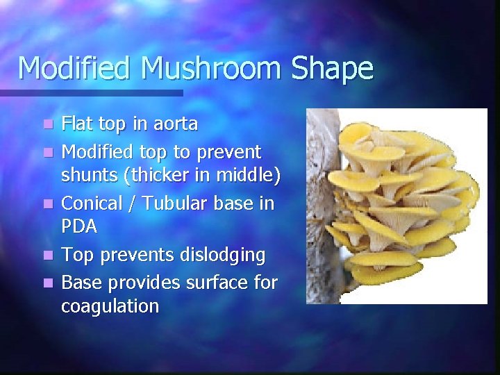 Modified Mushroom Shape n n n Flat top in aorta Modified top to prevent
