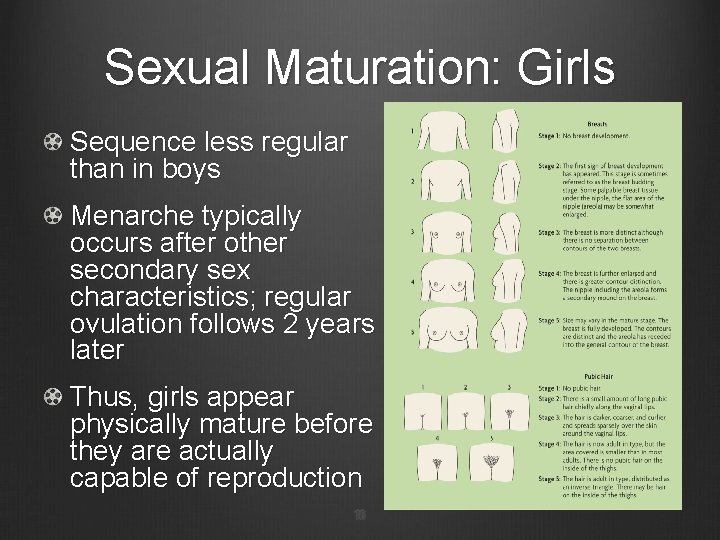 Sexual Maturation: Girls Sequence less regular than in boys Menarche typically occurs after other