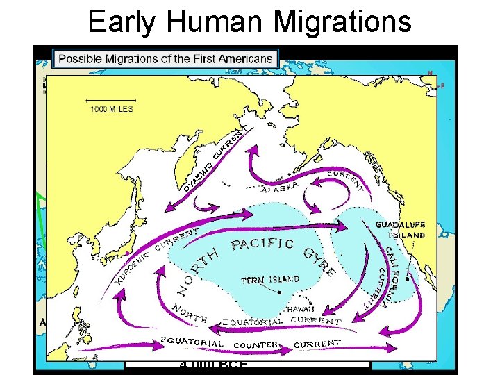 Early Human Migrations 1 st Migration, 38, 000 -1800 BCE 2 nd Migration, c.