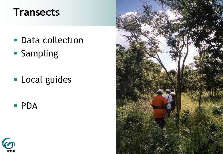 Transects § Data collection § Sampling § Local guides § PDA 