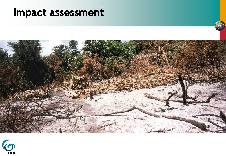 Impact assessment 