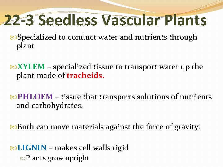 22 -3 Seedless Vascular Plants Specialized to conduct water and nutrients through plant XYLEM