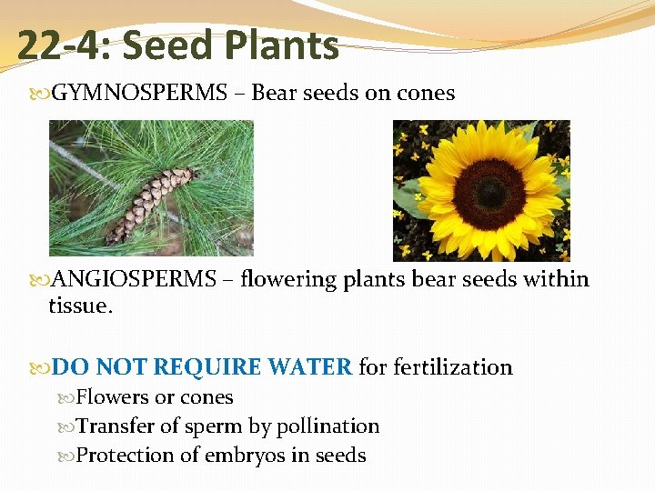 22 -4: Seed Plants GYMNOSPERMS – Bear seeds on cones ANGIOSPERMS – flowering plants