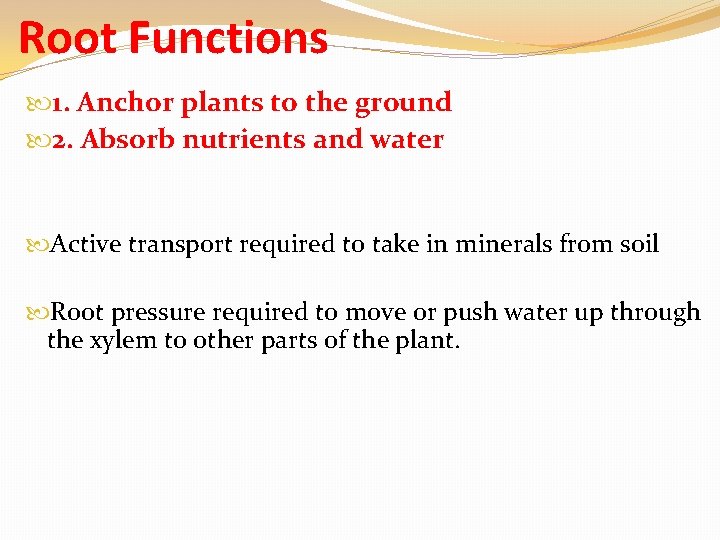 Root Functions 1. Anchor plants to the ground 2. Absorb nutrients and water Active