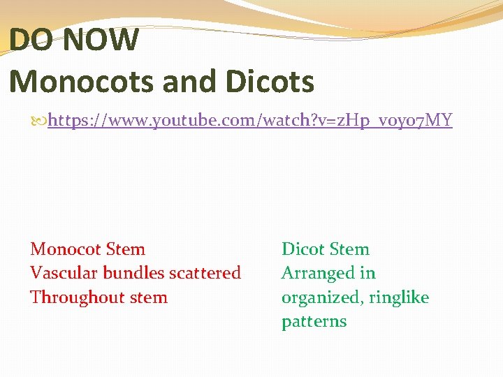 DO NOW Monocots and Dicots https: //www. youtube. com/watch? v=z. Hp_voyo 7 MY Monocot