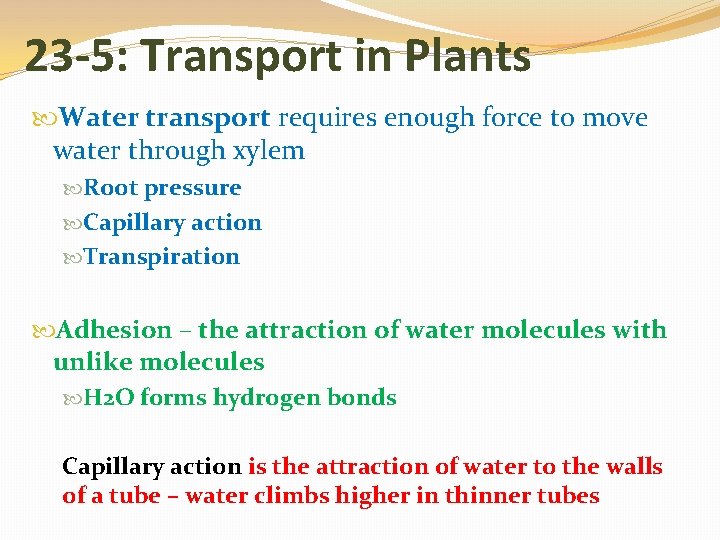 23 -5: Transport in Plants Water transport requires enough force to move water through