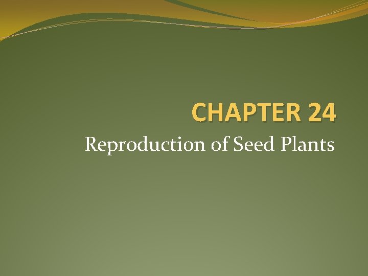 CHAPTER 24 Reproduction of Seed Plants 