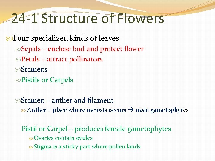24 -1 Structure of Flowers Four specialized kinds of leaves Sepals – enclose bud
