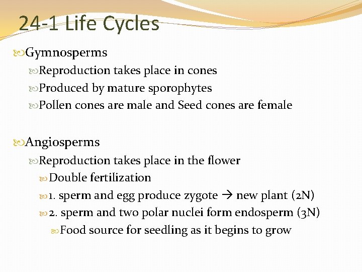 24 -1 Life Cycles Gymnosperms Reproduction takes place in cones Produced by mature sporophytes