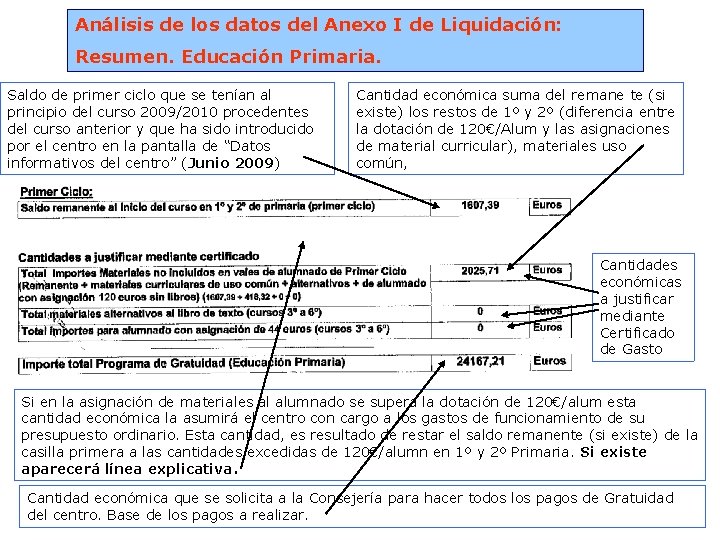 Análisis de los datos del Anexo I de Liquidación: Resumen. Educación Primaria. Saldo de